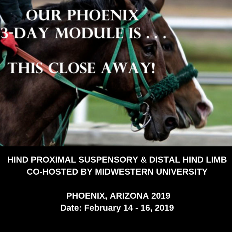 3-DAY MODULE - HIND PROXIMAL SUSPENSORY AND DISTAL HIND LIMB, CO-HOSTED BY MIDWESTERN UNIVERSITY, PHOENIX, ARIZONA 2019 Date_ February 14 - 16, 2019