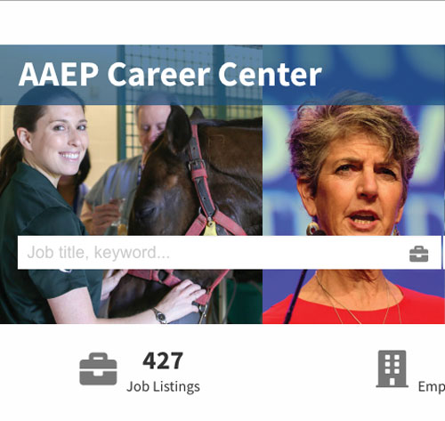 AAEP-Career-Center-cropped-v-500