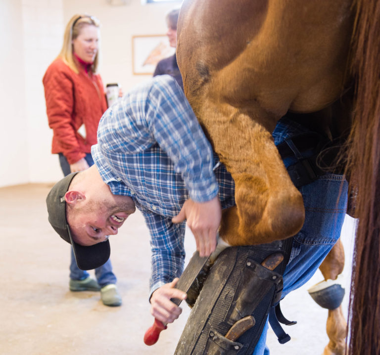 farrier working on hind limb