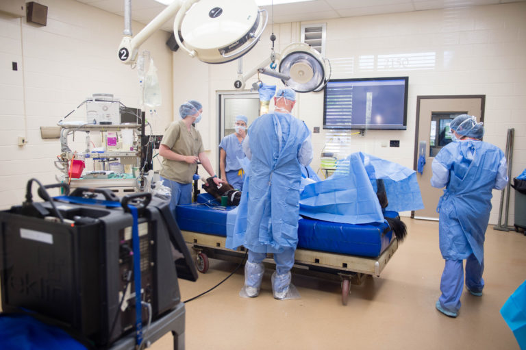 Surgery at Rood and Riddle