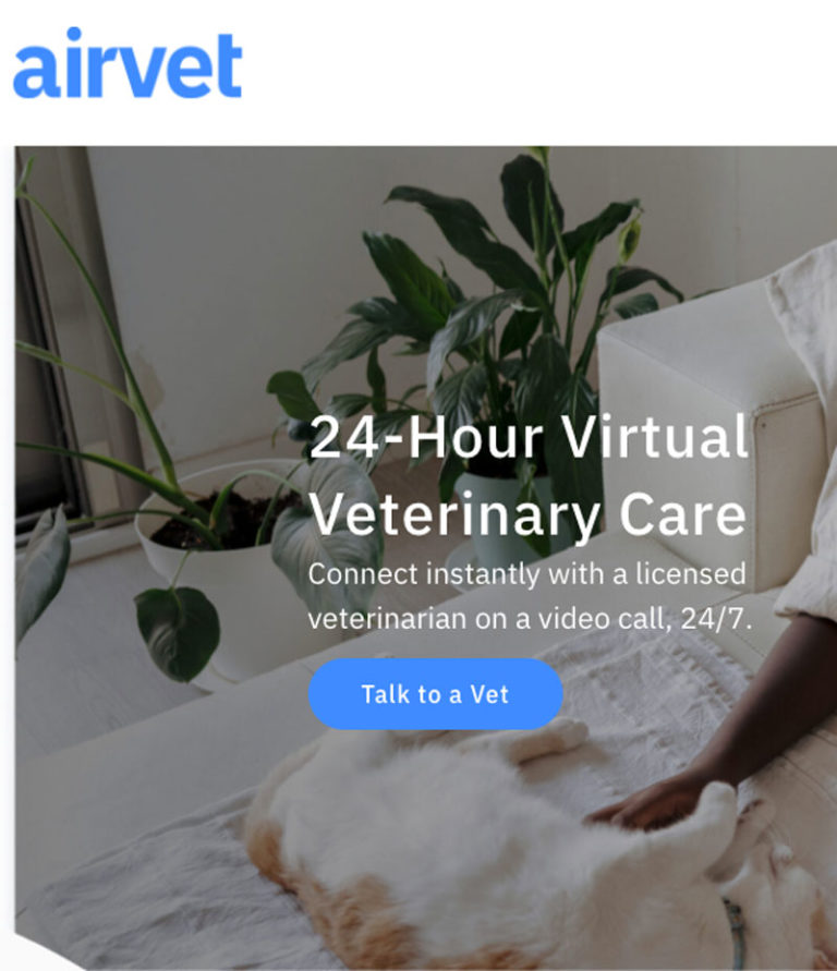 airvet-screen-capture-cropped-800