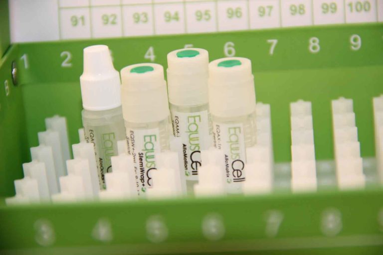AniCell Biotech Launches the EquusCell Line of Regenerative Therapies for Horses promo image