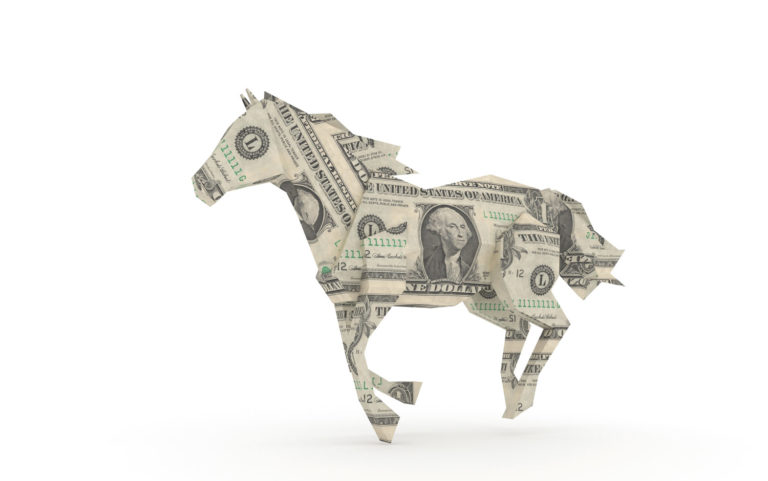 AVMA Third Annual Economic Summit promo image