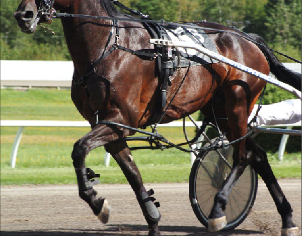 Backstretch Billing promo image