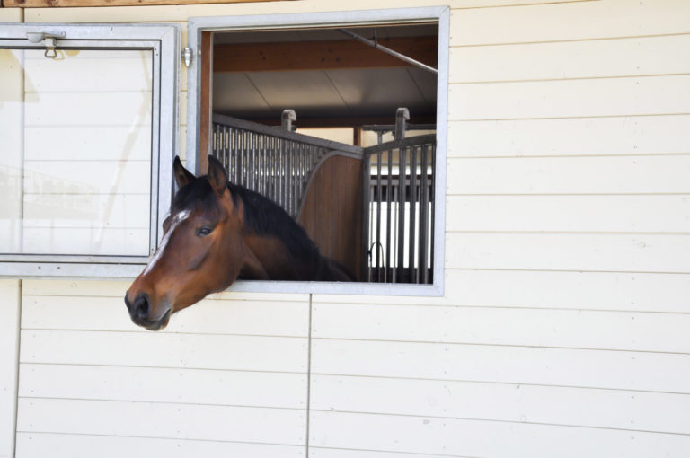 Balancing Risk, Reward with Veterinary Liens promo image
