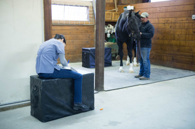 Barn-exam-Amy-Dragoo-DTM-16-1127-AD3a-250-1000