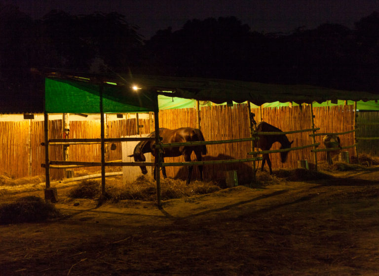barn light night horse