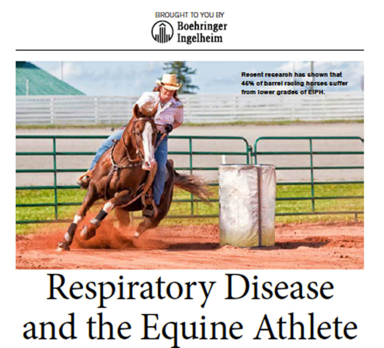 BI AAEP Respiratory article 1 cropped
