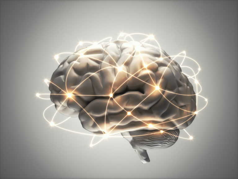 brain illustration