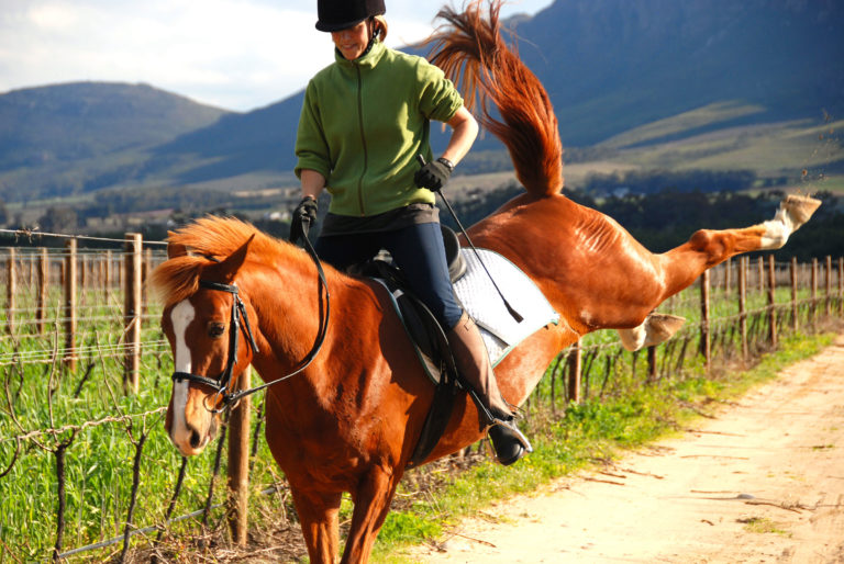 bucking chestnut English rider