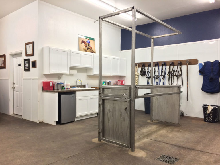 Building Your First Veterinary Practice promo image
