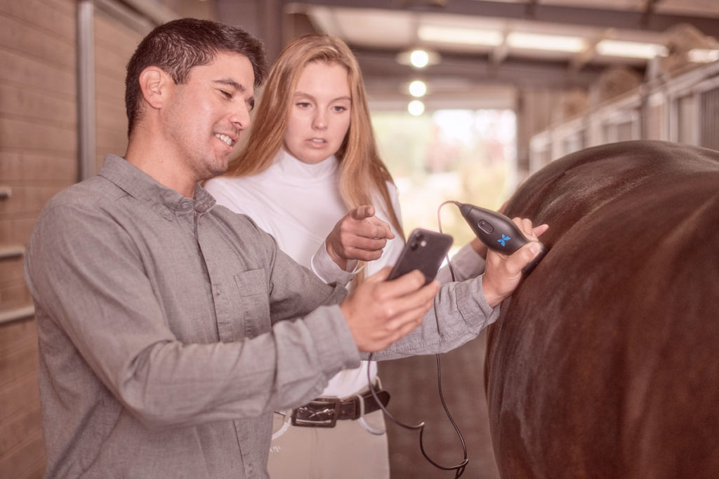 Butterfly ultrasound iQ+ vet horse owner horse