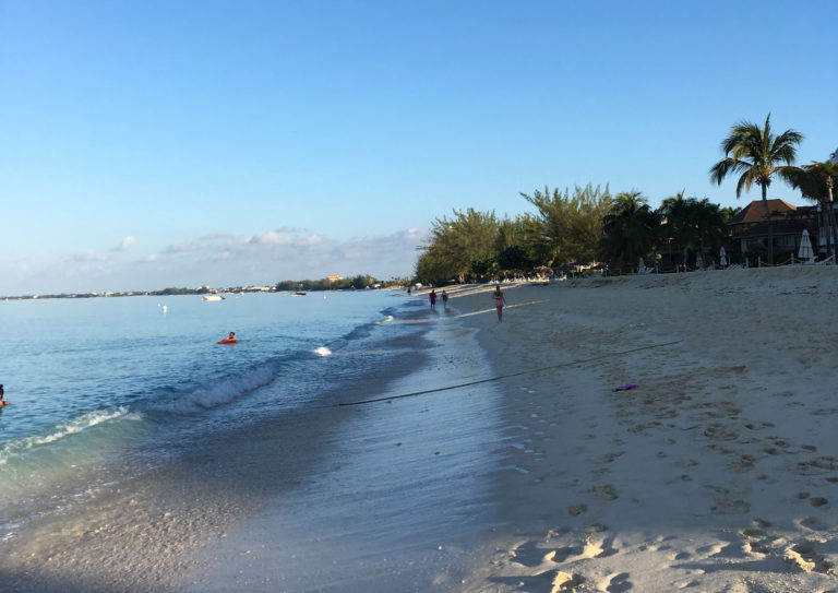 Cayman Island Eight Mile Beach AAEP Resort Symposium 2017