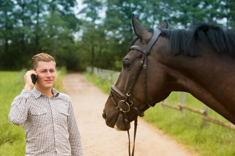 cell phone man horse outside