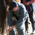 Coming Back After Injury or Disability: Advice for Equine Practitioners promo image