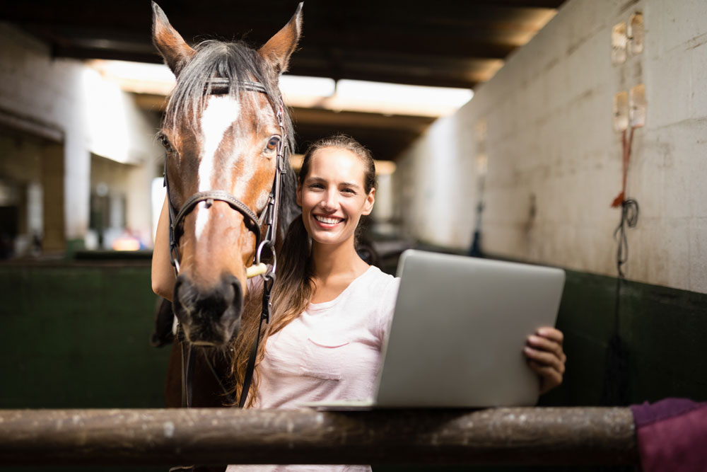 woman computer horse barn