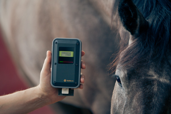 Courtesy StableLab