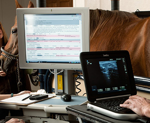 Courtesy Wisconsin Equine Clinic