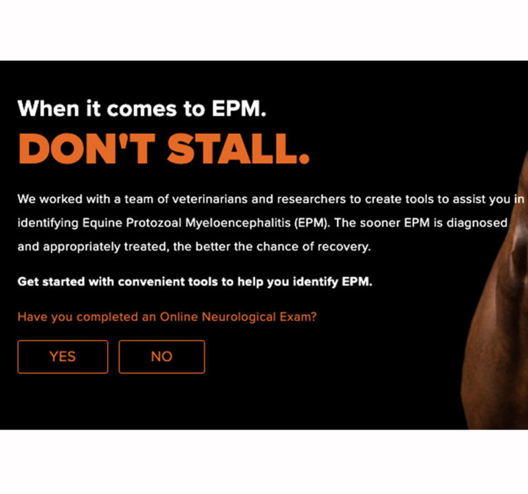 Don't-Stall-website-screen-capture-cropped-1200