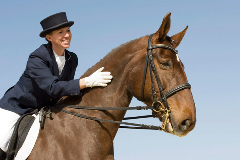 dressage rider happy