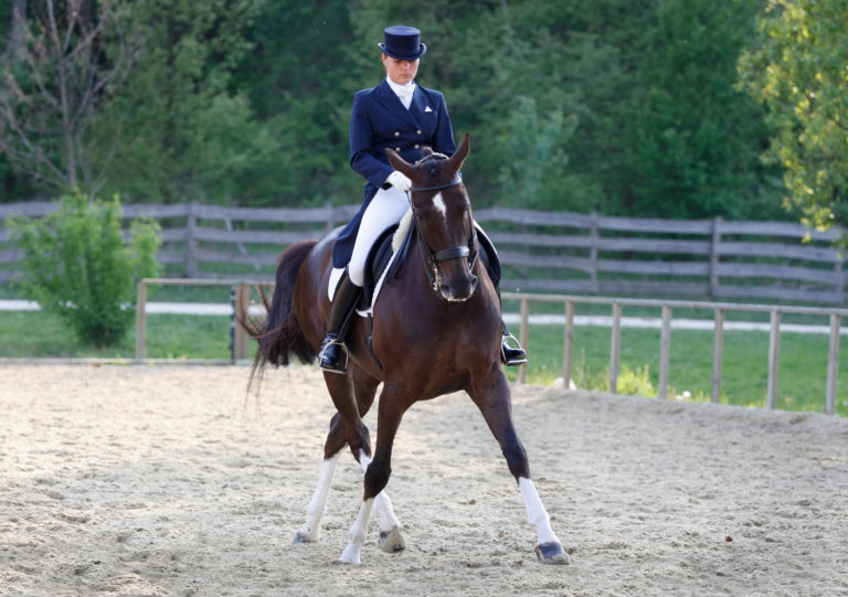 Dressage rider horse outside