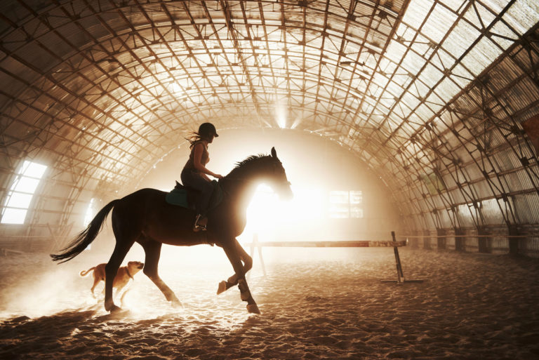 dusty indoor arena horse sepia