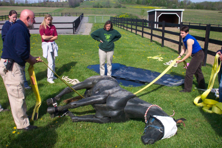 Equine rescue training