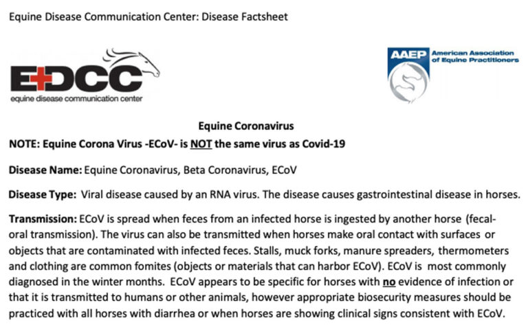 EDCC equine coronavirus fact sheet