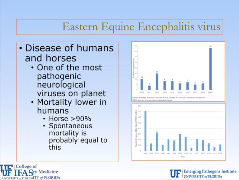EEE webinar screen capture Long dangerous disease