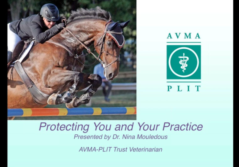 EquiManagement 2014 AAEP Presentation promo image