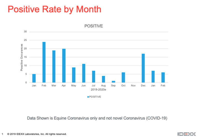 Equine coronavirus positives 2019-feb 2020