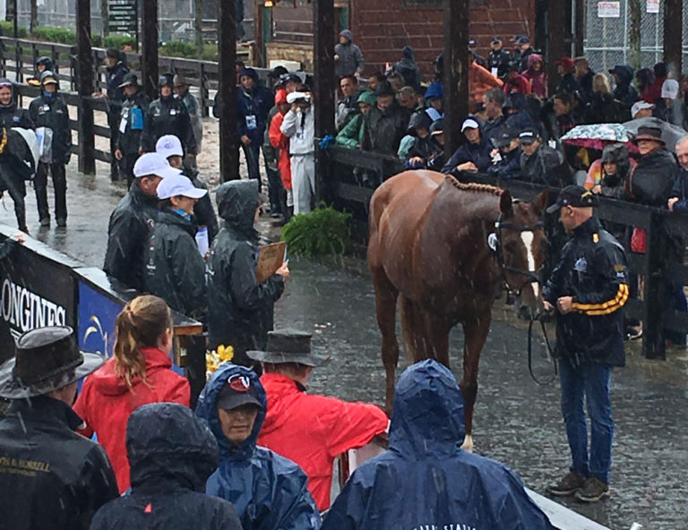 Eventing job in rain WEG