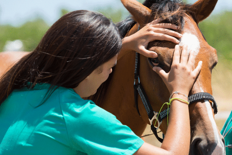 veterinarian looking at horse eye