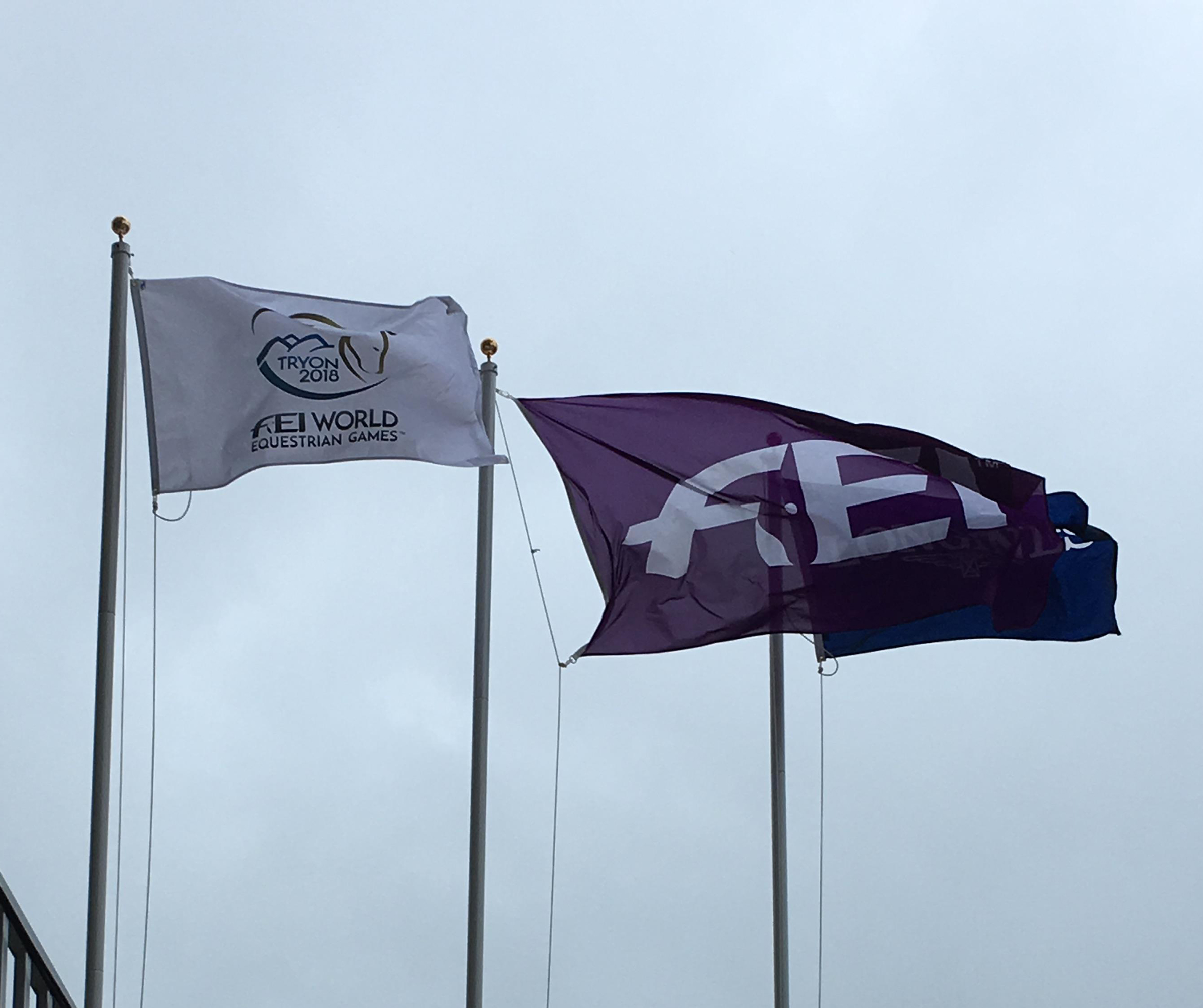 FEI and WEG flags