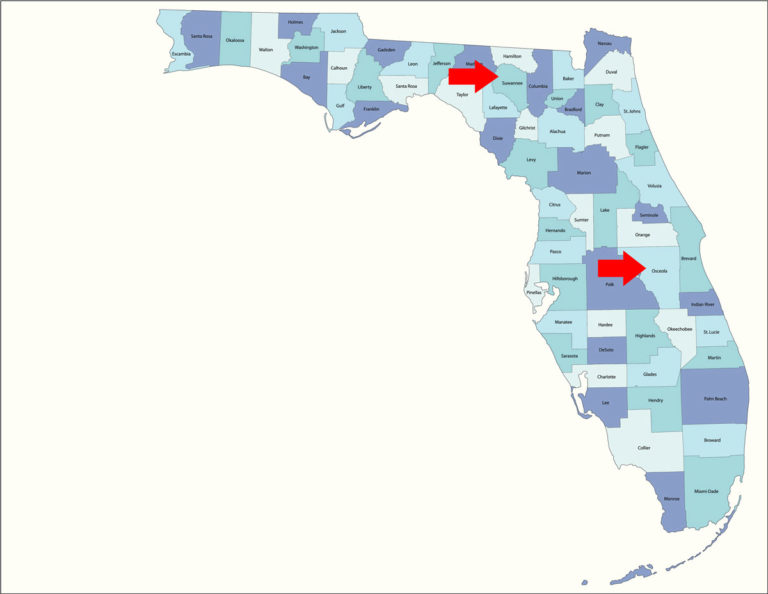 Florida Osceola and Suwannee Counties map