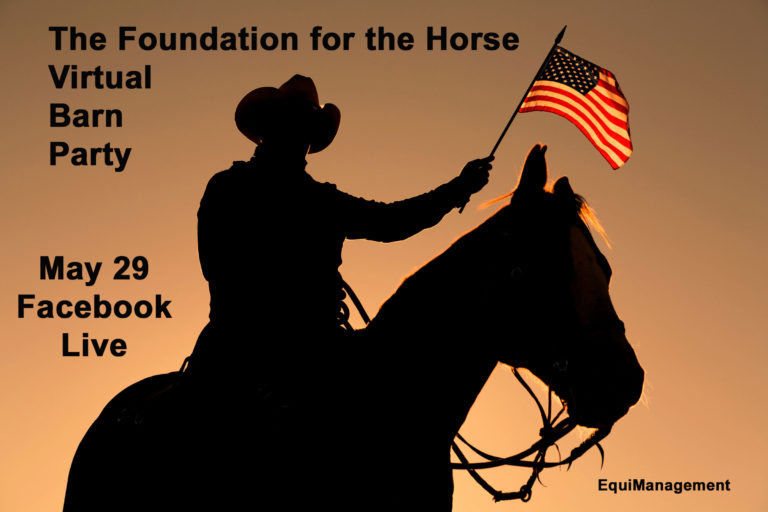 the foundation for the horse flag cowboy horse back lit