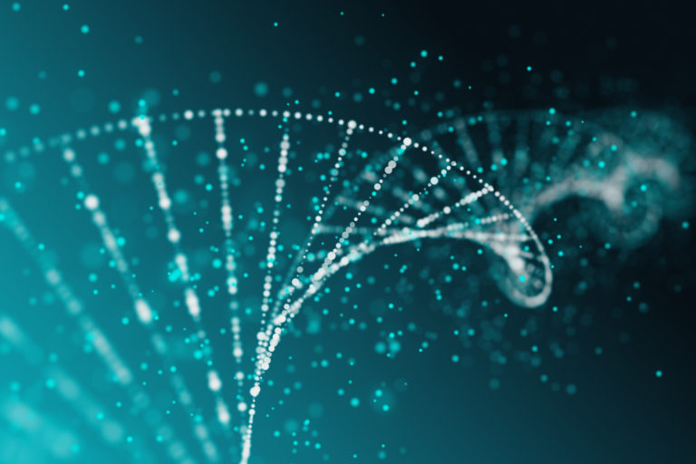 genetics dna