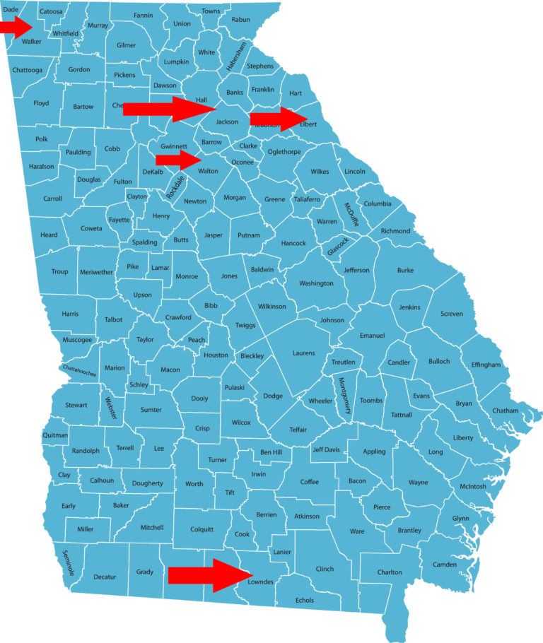 Georgia equine disease report