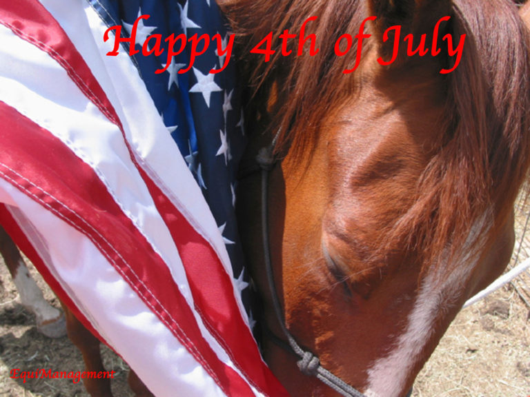 Happy 4th of July American flag horse
