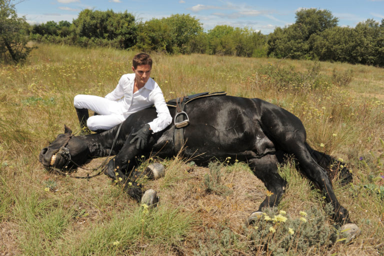 horse down with man and saddle