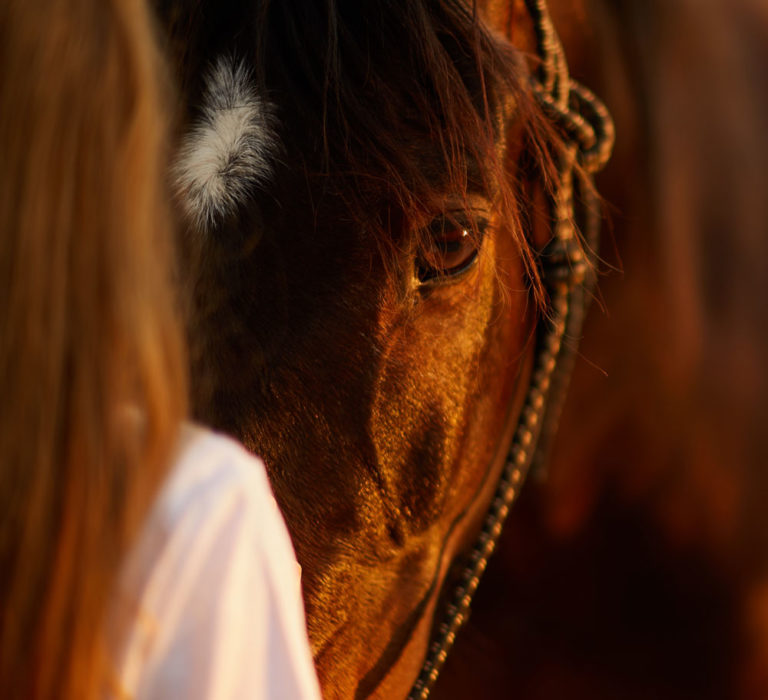 horse face woman back of head portrait