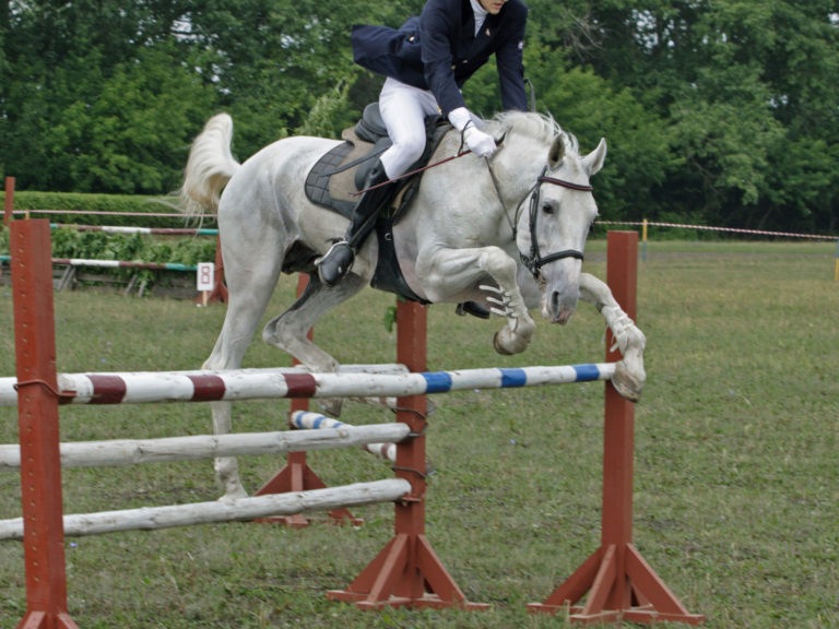 horse jumping awkwardly