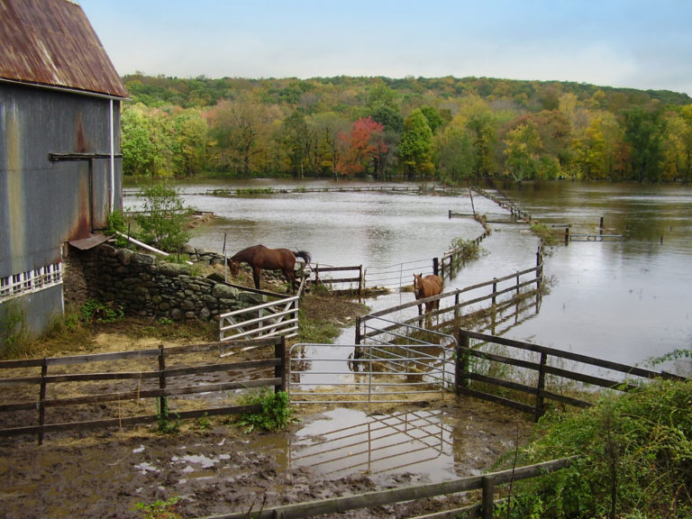 horses barn flood
