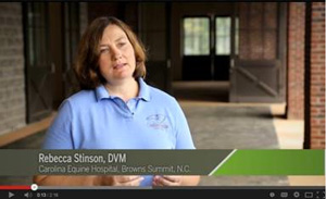 How Does a Veterinary Practice Reach the Next Level? promo image