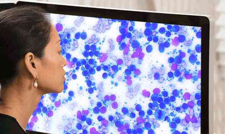 IDEXX cytology service