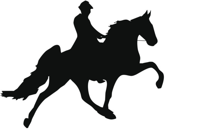 illus Tennessee Walking Horse
