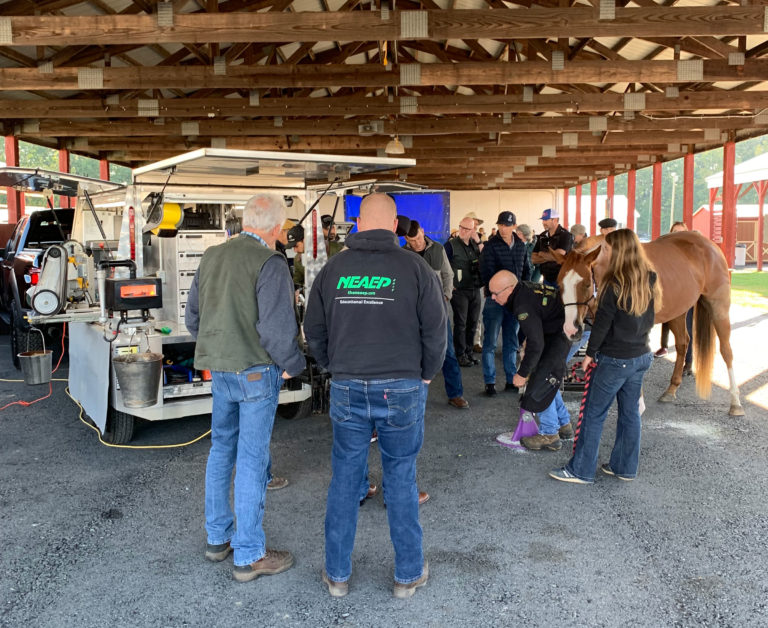 NEAEP 2019 meeting