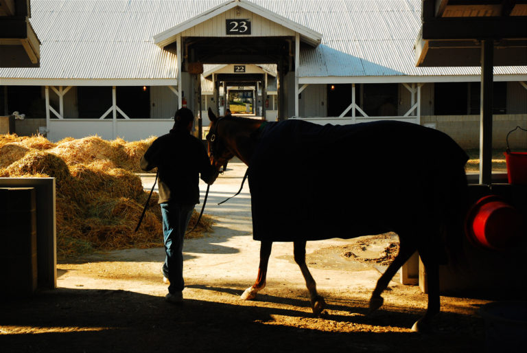 keeneland barns horse walking