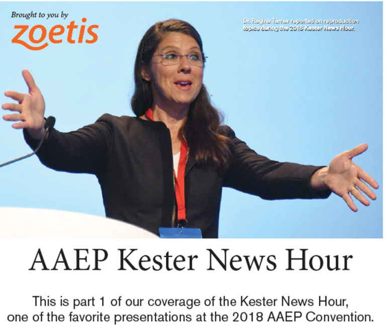 Kester News Hour PDF capture