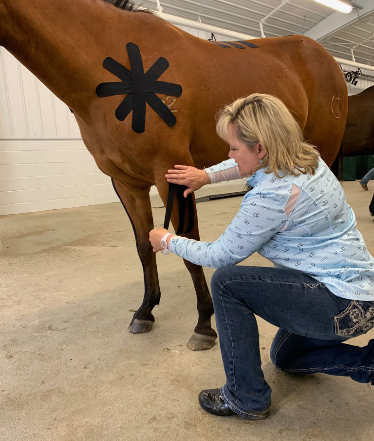 kinesio taping CSU Dr Melissa King